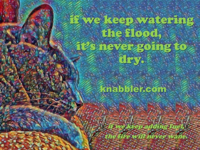 2018 01 16 if we keep watering the flood jakorte